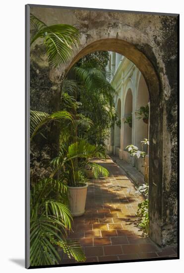 Historic Santuario and Iglesia de San Pedro Claver, Cartagena, Colombia.-Jerry Ginsberg-Mounted Photographic Print