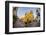 Historic Santuario and Iglesia de San Pedro Claver, Cartagena, Colombia.-Jerry Ginsberg-Framed Photographic Print