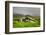 Historic Stone House with Turf Roof on the Island of Streymoy, Saksun, Faroe Islands-Nick Fox-Framed Photographic Print