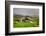 Historic Stone House with Turf Roof on the Island of Streymoy, Saksun, Faroe Islands-Nick Fox-Framed Photographic Print