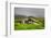 Historic Stone House with Turf Roof on the Island of Streymoy, Saksun, Faroe Islands-Nick Fox-Framed Photographic Print