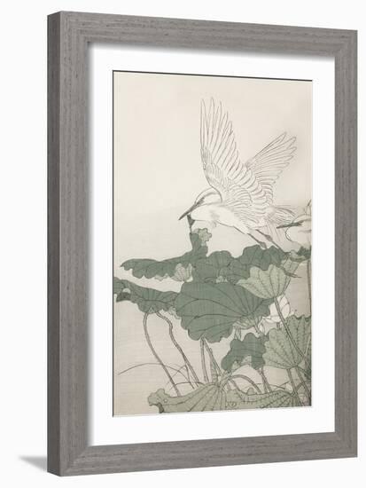 Historic Study - Flight-Imao Keinen-Framed Giclee Print