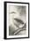 Historic Study - Rest-Imao Keinen-Framed Giclee Print