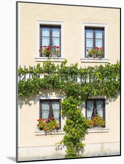 Historic village Unterloiben located in wine-growing area-Martin Zwick-Mounted Photographic Print