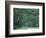 Historic Wormsloe Plantation, Savannah, Georgia, USA-Joanne Wells-Framed Photographic Print