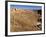 Historical 2Nd Century Roman Theater Ruins in Dougga, Tunisia, Northern Africa-Bill Bachmann-Framed Photographic Print