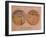 Historical Artwork of Canals on Surface of Mars-Detlev Van Ravenswaay-Framed Photographic Print