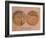 Historical Artwork of Canals on Surface of Mars-Detlev Van Ravenswaay-Framed Photographic Print