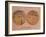 Historical Artwork of Canals on Surface of Mars-Detlev Van Ravenswaay-Framed Photographic Print