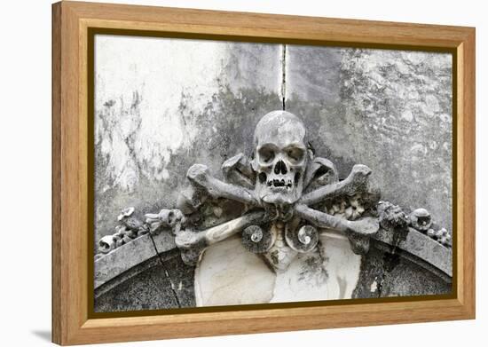 Historical Cemetery, Tomb, Burial Chamber, Skull, Medium Close-Up-Axel Schmies-Framed Premier Image Canvas