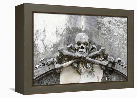 Historical Cemetery, Tomb, Burial Chamber, Skull, Medium Close-Up-Axel Schmies-Framed Premier Image Canvas