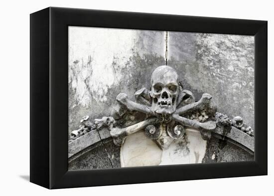 Historical Cemetery, Tomb, Burial Chamber, Skull, Medium Close-Up-Axel Schmies-Framed Premier Image Canvas