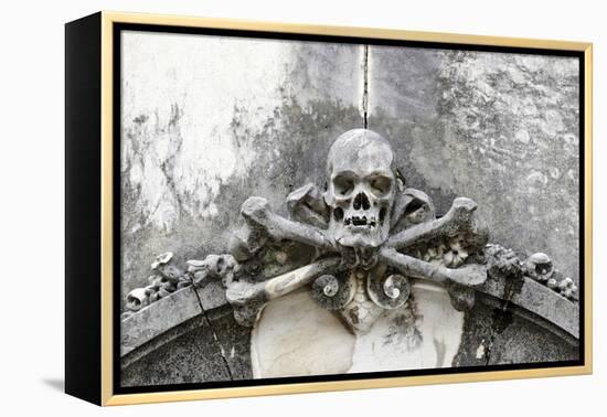 Historical Cemetery, Tomb, Burial Chamber, Skull, Medium Close-Up-Axel Schmies-Framed Premier Image Canvas