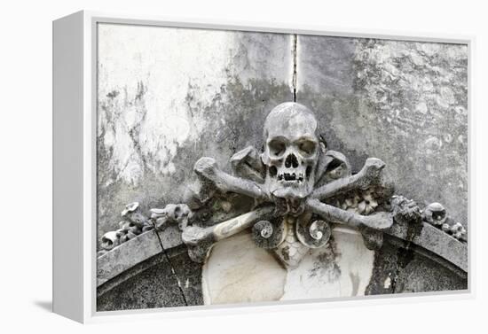 Historical Cemetery, Tomb, Burial Chamber, Skull, Medium Close-Up-Axel Schmies-Framed Premier Image Canvas