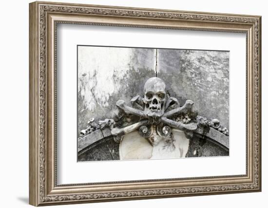 Historical Cemetery, Tomb, Burial Chamber, Skull, Medium Close-Up-Axel Schmies-Framed Photographic Print