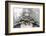 Historical Cemetery, Tomb, Burial Chamber, Skull, Medium Close-Up-Axel Schmies-Framed Photographic Print