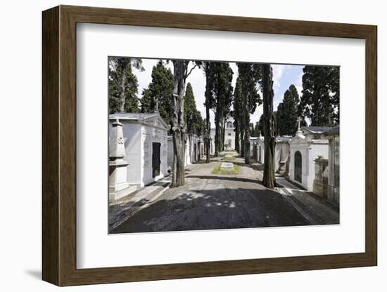 Historical Cemetery, Tombs, Burial Chambers, Cemiterio Dos Prazeres, Prazeres, Lisbon, Portugal-Axel Schmies-Framed Photographic Print