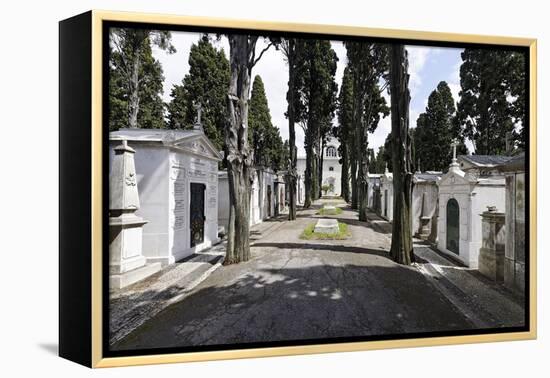 Historical Cemetery, Tombs, Burial Chambers, Cemiterio Dos Prazeres, Prazeres, Lisbon, Portugal-Axel Schmies-Framed Premier Image Canvas