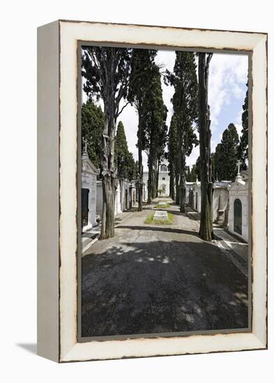 Historical Cemetery, Tombs, Funerary Chambers, Cemiterio Dos Prazeres, Prazeres, Lisbon, Portugal-Axel Schmies-Framed Premier Image Canvas