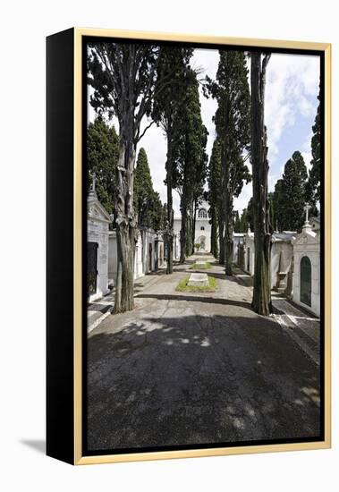 Historical Cemetery, Tombs, Funerary Chambers, Cemiterio Dos Prazeres, Prazeres, Lisbon, Portugal-Axel Schmies-Framed Premier Image Canvas