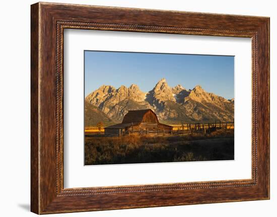 Historical Moulton barn at sunrise, Grand Teton National Park.-Adam Jones-Framed Photographic Print