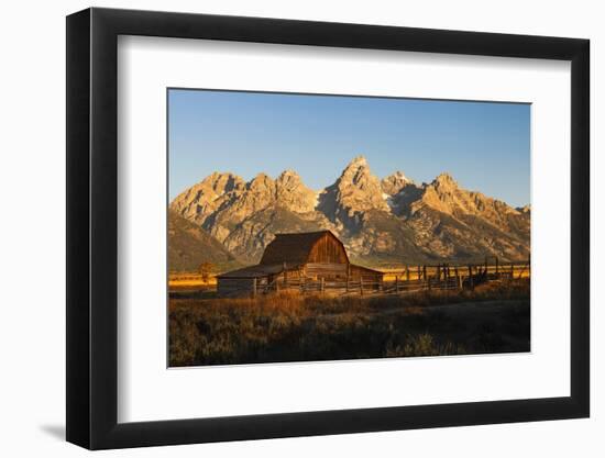 Historical Moulton barn at sunrise, Grand Teton National Park.-Adam Jones-Framed Photographic Print