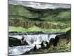 Giclee Print