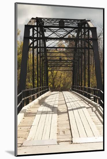 Histroic Bridge, War Eagle, Arkansas, USA-Walter Bibikow-Mounted Photographic Print