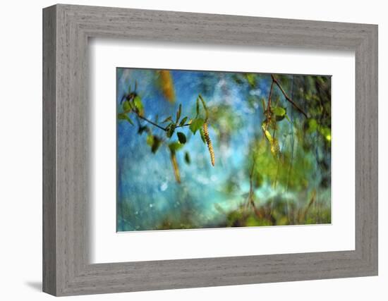 Hit by the sun-Heidi Westum-Framed Photographic Print