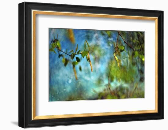 Hit by the sun-Heidi Westum-Framed Photographic Print