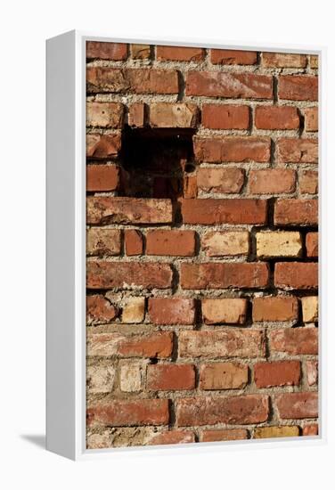 Hitting the Wall II-K.B. White-Framed Premier Image Canvas