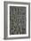 Hittite Hieroglyphs from an inscription on a monument, 15th century BC-Unknown-Framed Giclee Print