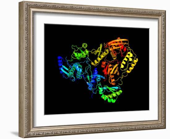 HIV Reverse Transcription Enzyme-Laguna Design-Framed Photographic Print