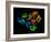 HIV Reverse Transcription Enzyme-Laguna Design-Framed Photographic Print