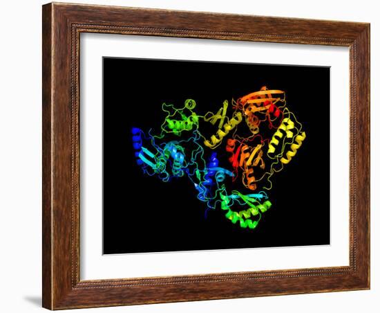 HIV Reverse Transcription Enzyme-Laguna Design-Framed Photographic Print