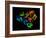 HIV Reverse Transcription Enzyme-Laguna Design-Framed Photographic Print