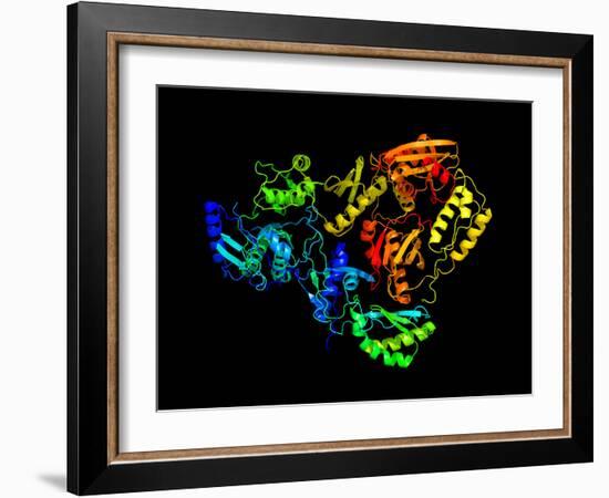 HIV Reverse Transcription Enzyme-Laguna Design-Framed Photographic Print