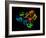 HIV Reverse Transcription Enzyme-Laguna Design-Framed Photographic Print