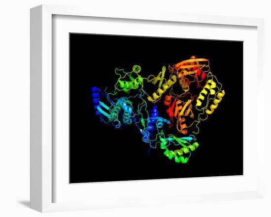 HIV Reverse Transcription Enzyme-Laguna Design-Framed Photographic Print