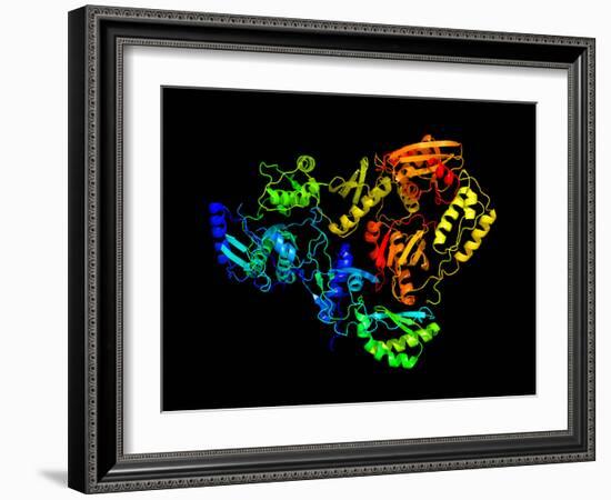 HIV Reverse Transcription Enzyme-Laguna Design-Framed Photographic Print