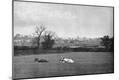 Photographic Print