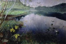 Nocturne, 1887 (Oil on Canvas)-Hjalmer Eilif Emanuel Peterssen-Giclee Print