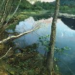 From Daelivannet-Hjalmer Eilif Emanuel Peterssen-Giclee Print