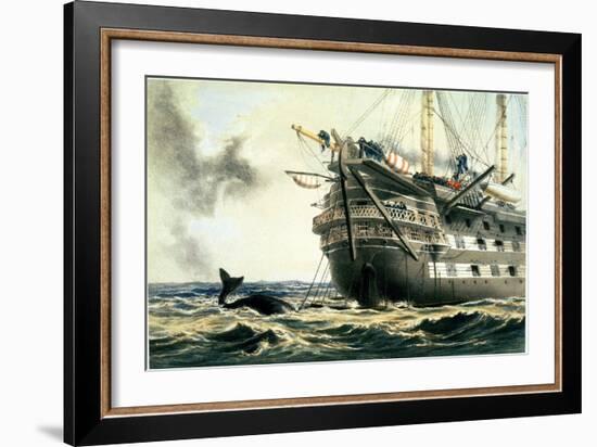 Hms Agamemnon Laying the Original Atlantic Cable, from "The Atlantic Telegraph"-Robert Dudley-Framed Giclee Print