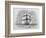 Hms Beagle Among Porpoises Charles Darwin's Research Ship-R.t. Pritchett-Framed Photographic Print