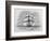 Hms Beagle Among Porpoises Charles Darwin's Research Ship-R.t. Pritchett-Framed Photographic Print