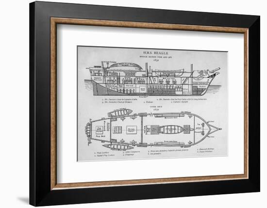 Hms Beagle Charles Darwin's Research Ship-R.t. Pritchett-Framed Photographic Print