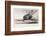 HMS Beagle Ship Laid Up Darwin's Voyage-Stewart Stewart-Framed Photographic Print