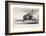 HMS Beagle Ship Laid Up Darwin's Voyage-Stewart Stewart-Framed Photographic Print