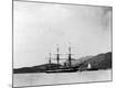 Photographic Print